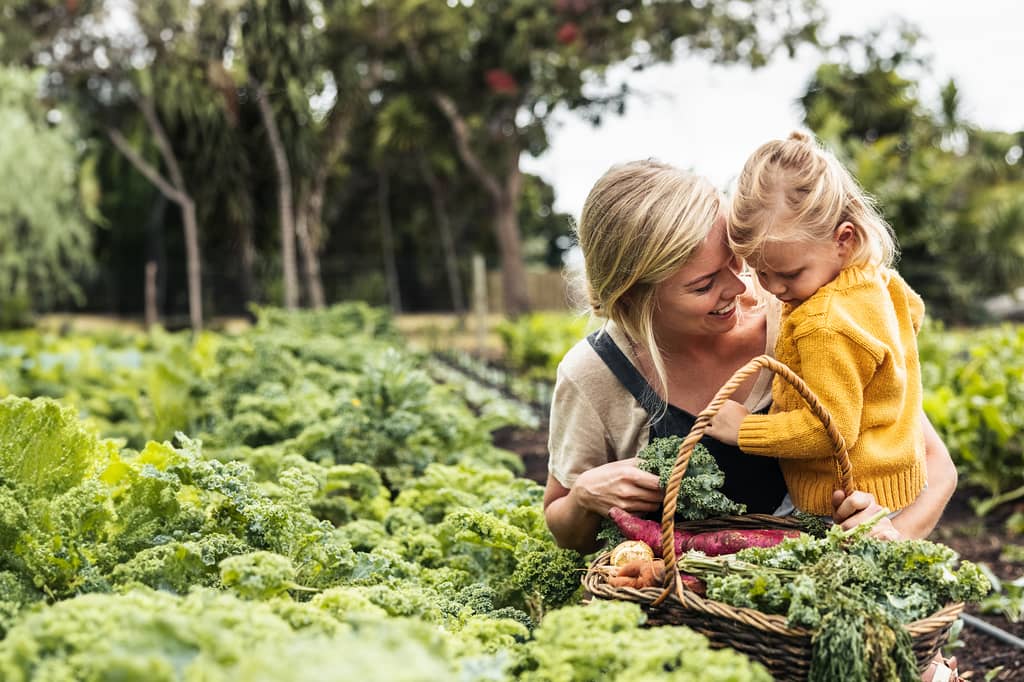 Mother and young daughter harvesting vegetables into a basket in a garden