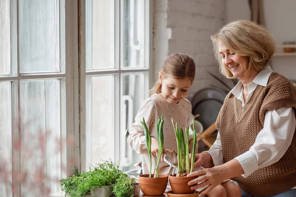 Older woman and a young girl pot spring bulbs together at a sunlit windowsill