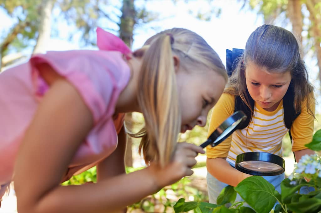 Two young girls examining plants with magnifying glasses outdoors in woodland
