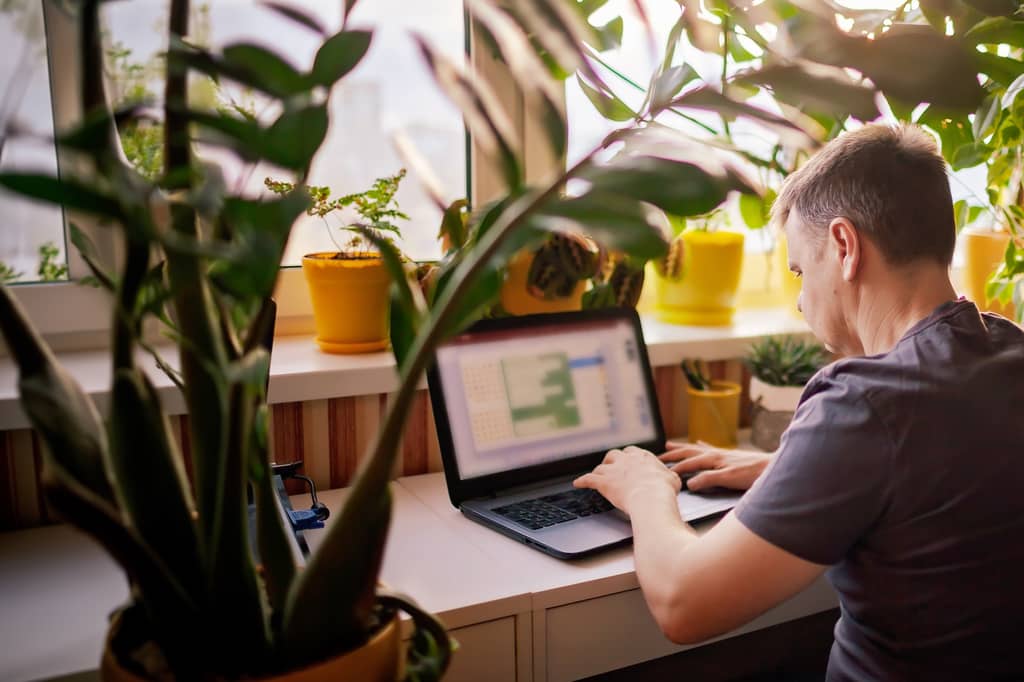 Self-employed man works on a laptop at a desk surrounded by houseplants